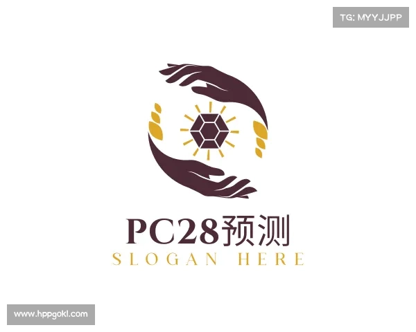 认识pc28预测